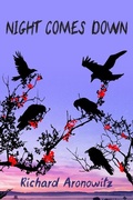 Cover: Night Comes Down - Guernica Editions,Canada