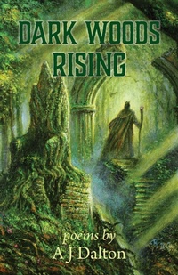Enlarge image Cover: Dark Woods Rising - Starship Sloane Publishing Company, Inc.
