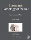 Bild: Boorman's Pathology of the Rat - Academic Press