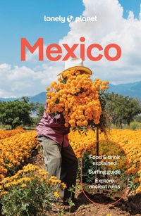Abbildung von: Lonely Planet Mexico - Lonely Planet Global Limited