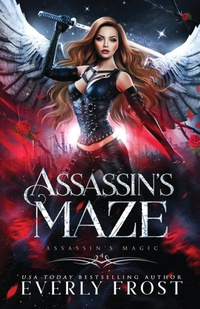 Enlarge image Cover: Assassin's Maze - Ever Realm Books