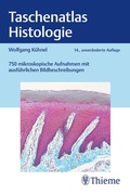 Bild: Taschenatlas Histologie - Thieme