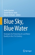 Cover: Blue Sky, Blue Water - Springer
