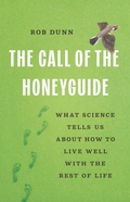 Cover: The Call of the Honeyguide - Basic Books