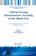 Cover: Defending Maritime Assets - Springer