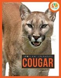 Cover: Cougar - Creative Paperbacks