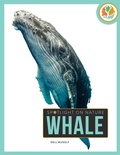 Cover: Whale - Creative Paperbacks