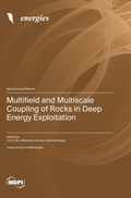 Cover: Multifield and Multiscale Coupling of Rocks in Deep Energy Exploitation - MDPI AG