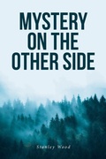 Cover: Mystery on the Other Side - Fulton Books
