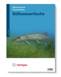 Cover: S&uuml;&szlig;wasserfische - Heintges Lehr- und Lernsystem GmbH