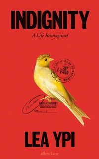 Enlarge image Cover: Indignity - Allen Lane