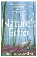 Cover: Nature's Echo - Torva