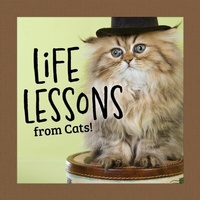 Abbildung von: Life Lessons from Cats! - Fox Chapel Publishing