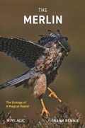Cover: The Merlin - Pelagic Publishing