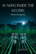 Cover: Waking Inside the Matrix - Julie Hall