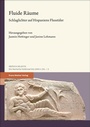 Cover: Fluide Räume - Franz Steiner Verlag