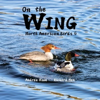 Abbildung von: On the Wing - North American Birds 6 - Hei Greenhouse Studio