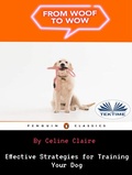 Cover: From Woof To Wow - Tektime