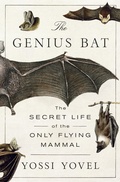 Bild: The Genius Bat - St. Martin's Press
