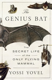 Bild: The Genius Bat - St. Martin's Press