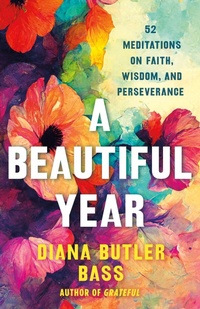 Enlarge image Cover: A Beautiful Year - St Martin's Press