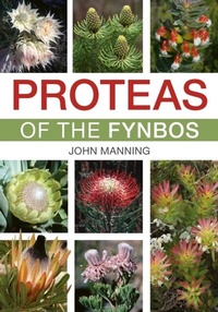 Abbildung von: Proteas of the Fynbos - Struik Nature