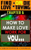 Cover: How to Make Love Work for You (Find Love or Die Trying, #7) - Chris Seers