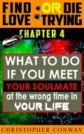 Cover: What to Do if You Meet Your Soulmate at the Wrong Time In Your Life (Find Love or Die Trying, #5) - Chris Seers