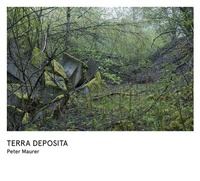 Abbildung von: Peter Maurer - Terra Deposita - Scheidegger & Spiess