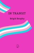 Cover: In Transit - Lurid Editions