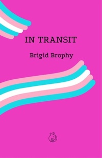 Enlarge image Cover: In Transit - Lurid Editions