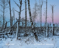 Abbildung von: In Search of Amnesia - Kehrer Verlag