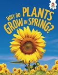 Cover: Why Do Plants Grow in Spring? - Hungry Tomato
