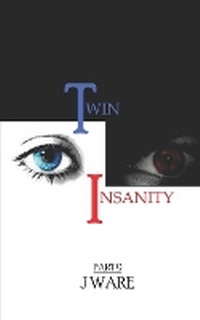 Enlarge image Cover: TwinInsanity Part 9 - Jware