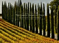 Cover: The Green Heart of Italy - Daylight Books