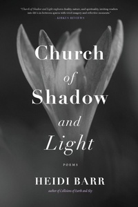 Enlarge image Cover: Church of Shadow and Light - Wayfarer Books