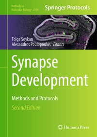 Abbildung von: Synapse Development - Humana
