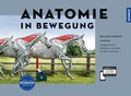 Cover: Anatomie in Bewegung - Kosmos