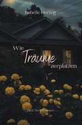 Cover: Wie Tr&auml;ume zerplatzen - Tolino Media