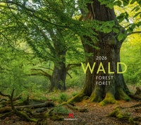 Abbildung von: Wald Kalender 2026 - Ackermann Kunstverlag