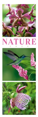 Abbildung von: Nature Triplet-Kalender 2026 - Ackermann Kunstverlag