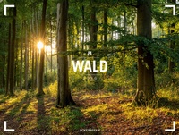 Abbildung von: Wald Gallery Kalender 2026 - Ackermann Kunstverlag