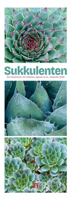 Abbildung von: Sukkulenten Triplet-Kalender 2026 | Kakteen, Agaven & Co - Ackermann Kunstverlag