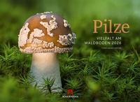 Abbildung von: Pilze Kalender 2026 | Vielfalt am Waldboden - Ackermann Kunstverlag