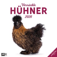 Abbildung von: Verrückte Hühner Broschürenkalender 2026 - 30x30 - Art12 - Ackermann Kunstverlag