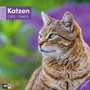 Bild: Katzen Broschürenkalender 2026 - 30x30 - Art12 - Ackermann Kunstverlag