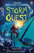 Cover: Storm Quest - Usborne Publishing Ltd