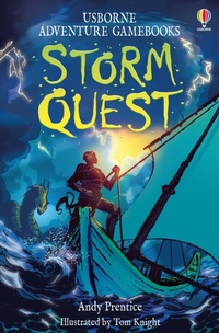 Enlarge image Cover: Storm Quest - Usborne Publishing Ltd