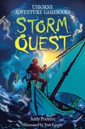 Cover: Storm Quest - Usborne Publishing Ltd