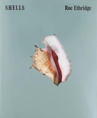 Enlarge image Cover: SHELLS - Note Note Editions
